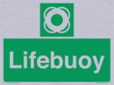 lifebuoy-with-symbol~